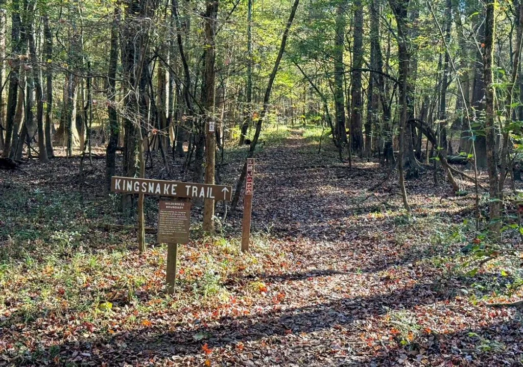 Kingslayer Trail - Congaree National Park - South Carolina