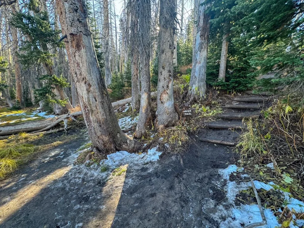 Shortcut on Alpine Pond Trail - Cedar Breaks National Monument
