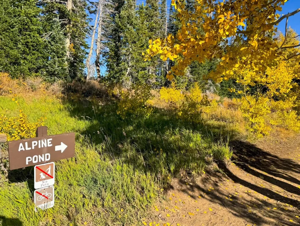 Sign to Alpine Pond near Chessman Overlook
