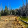 Walking along Alpine Pond in Cedar Breaks