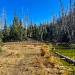 Walking along Alpine Pond in Cedar Breaks