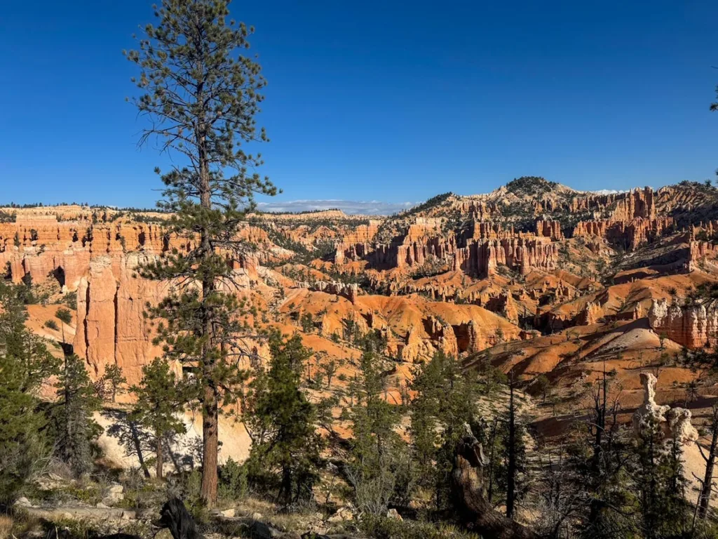 First View into Amphitheater - Fairyland Loop Trail