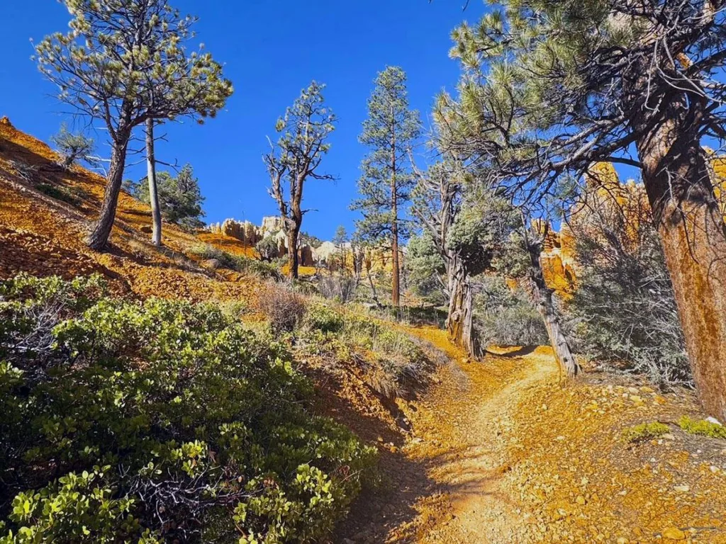 Hiking Along Fairyland Trail from Fairyland Point