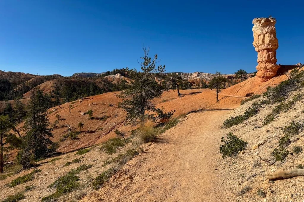 Pillar Along Fairyland Loop Trail - Bryce Canyon NP - Utah