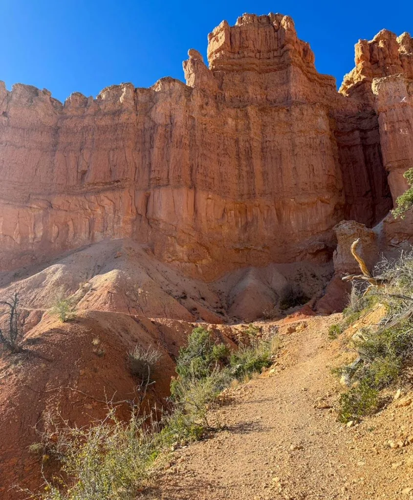 Rock Face Along Fairyland Loop Trail - Bryce Canyon National Park