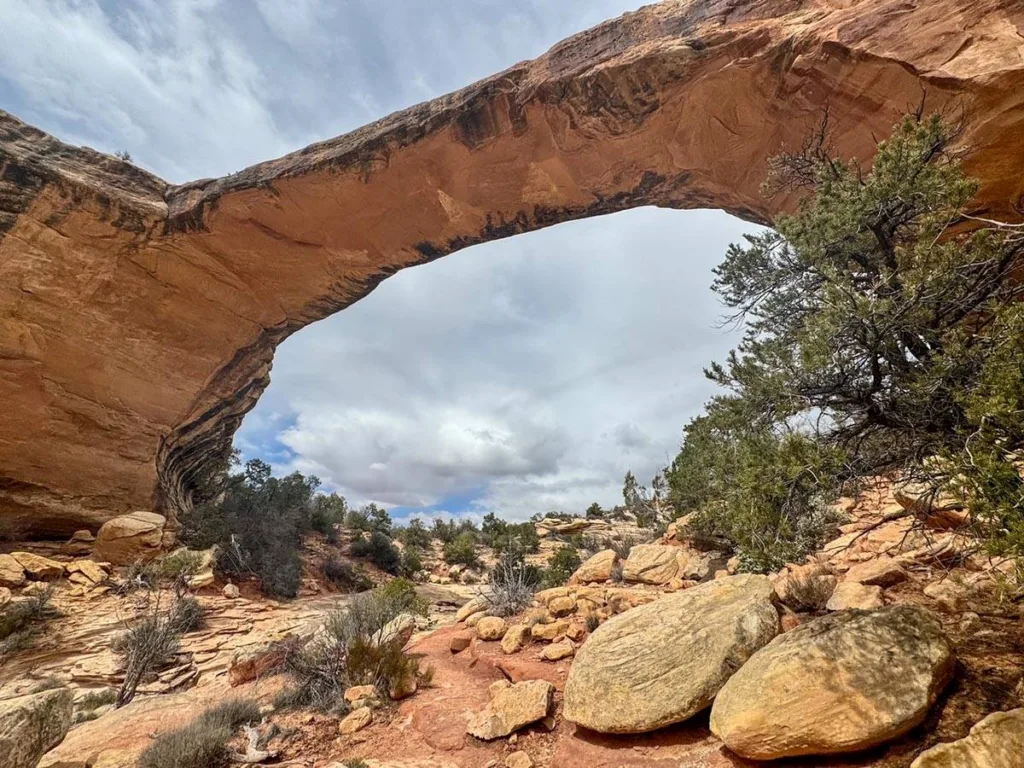 Owachomo Bridge - Natural Bridges National Monument