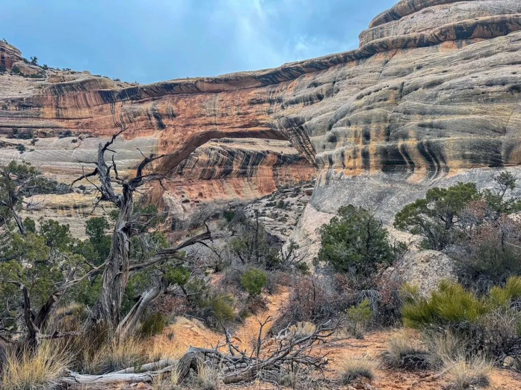 Sipapu Bridge - - Natural Bridges National Monument