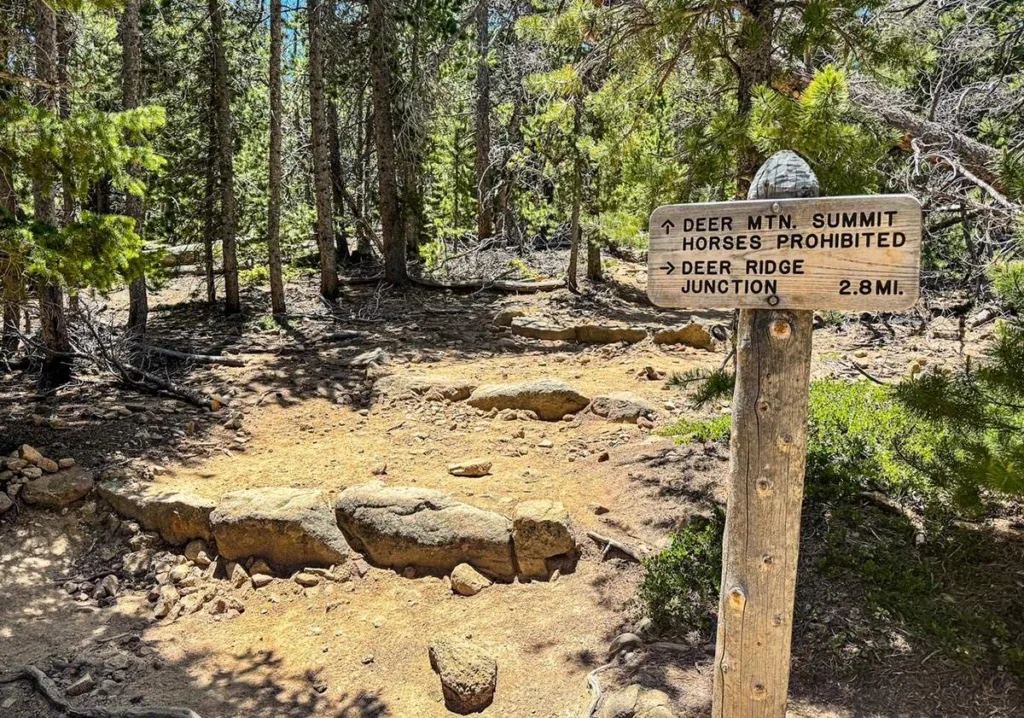 Deer Mountain Summit Junction - RMNP