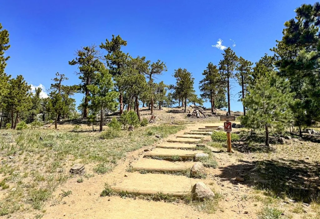 Wooden Steps - Deer Mountain Trail - RMNP